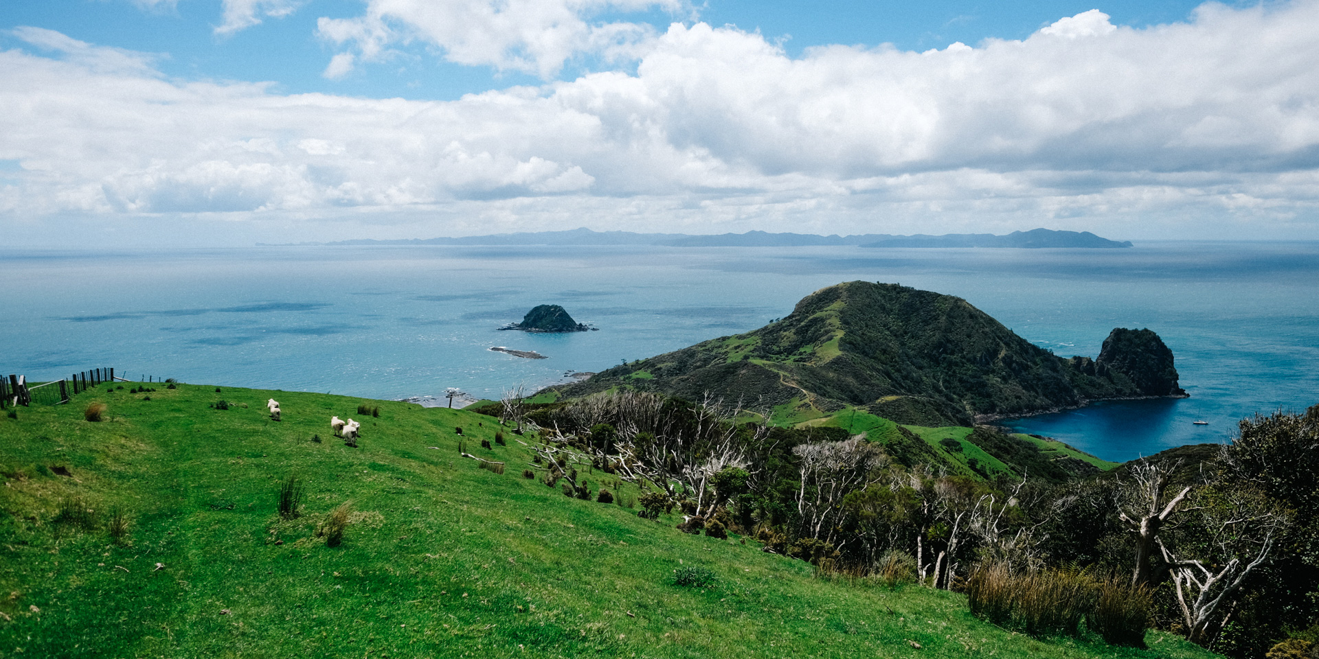 Coromandel Peninsula, NZ